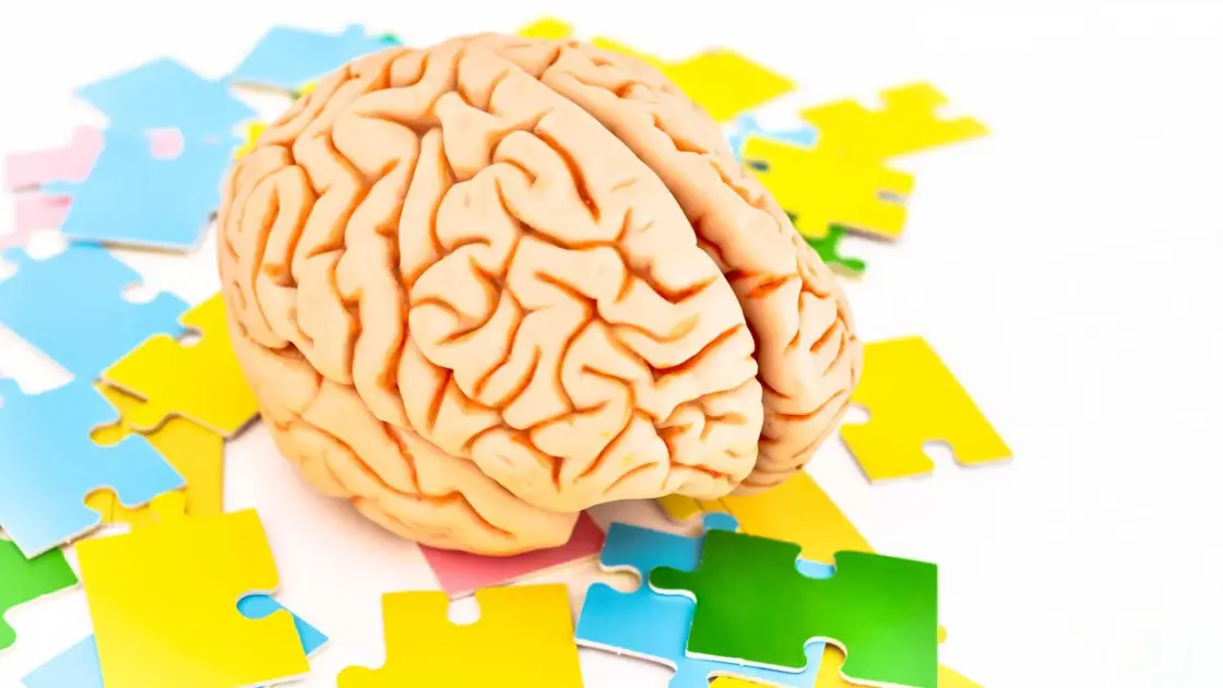 «Ανακαλύψτε το Μυστικό του Εγκεφάλου που Εξαφανίζει την Κούραση! Δοκιμάστε το ΤΩΡΑ!»