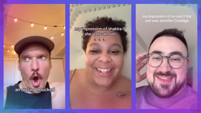 Η νέα βαθιά ανόητη τάση του TikTok; Υποδυόμενη κουκουβάγιες.