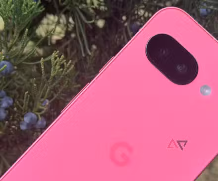 Google Pixel 9a δίπλα σε έναν αειθαλή θάμνο