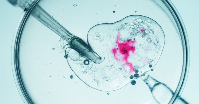 Πώς μια πρωτεΐνη μπορεί να αλλάξει τα δεδομένα στην εξωσωματική