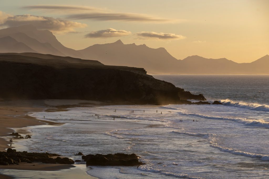 Πρωτοφανές θαύμα της φύσης: Αράχνη εξαφάνισε το μισό DNA της – Προβληματισμένοι οι επιστήμονες