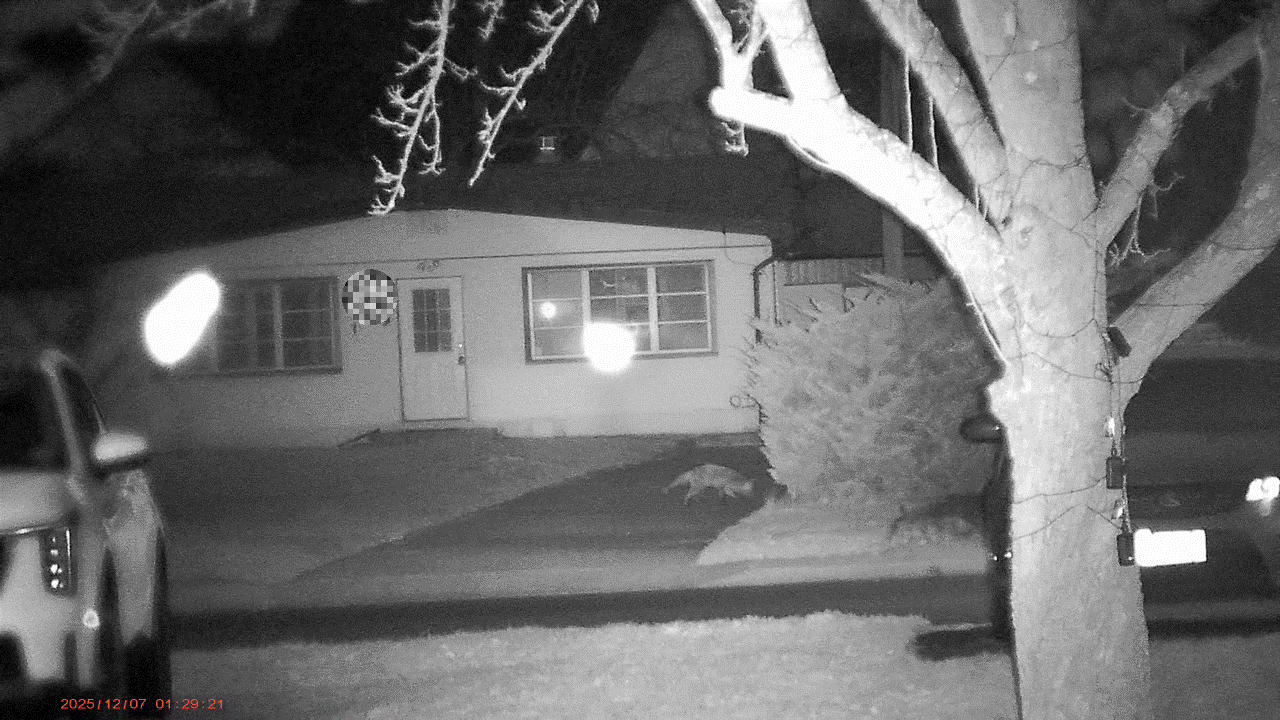 Δείγμα Cigman CNVPRO.