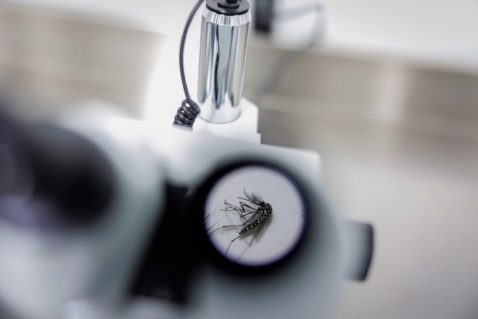 Η επιστήμη απαντά σε ένα από τα πιο... ενοχλητικά ερωτήματα: Γιατί μάς τρώνε τα κουνούπια; Διότι οι άνθρωποι έχουμε καταστρέψει τη βιοποικιλότητα!