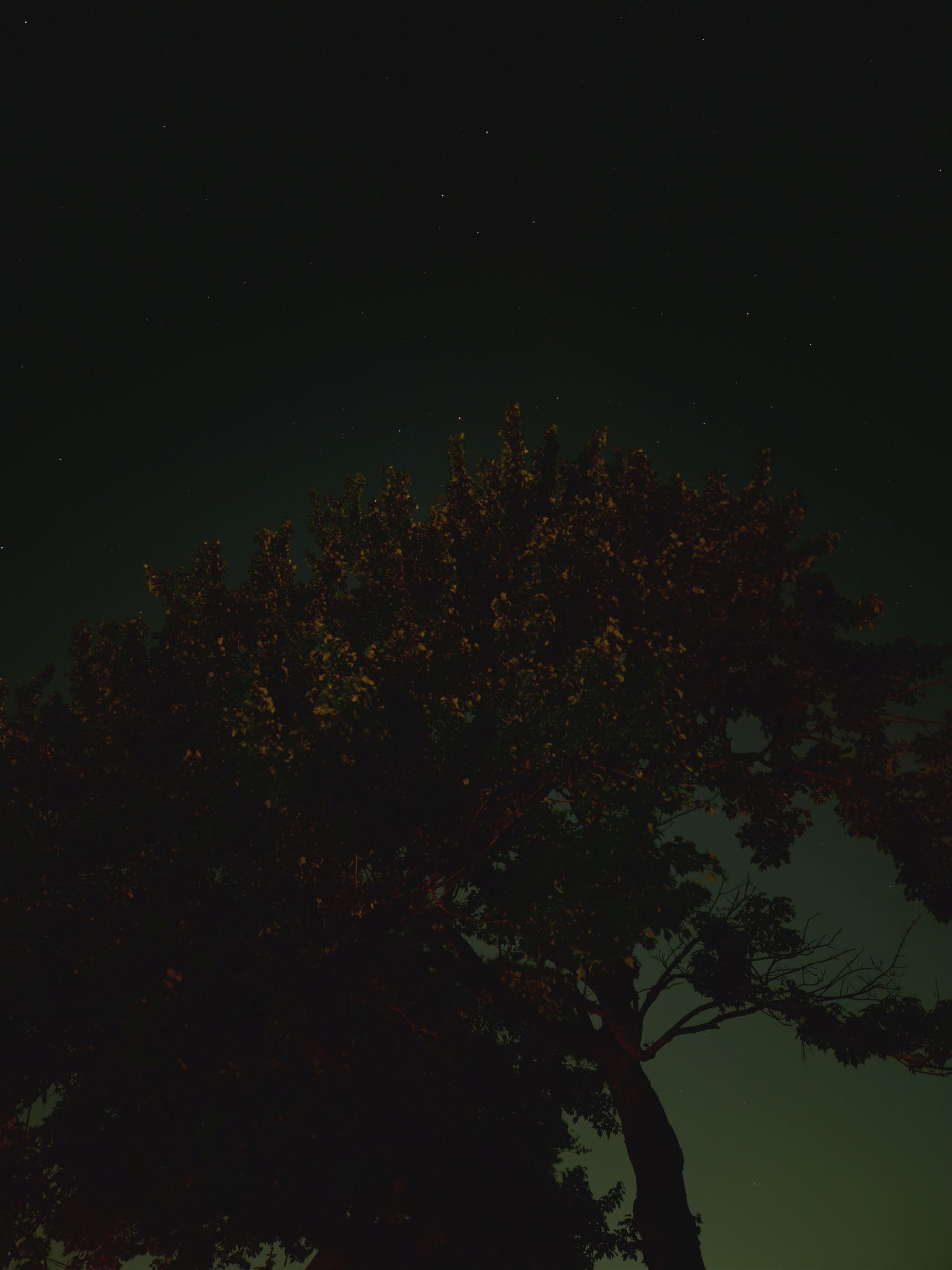 Δείγμα αστροφωτογραφίας Galaxy Z Flip 7.