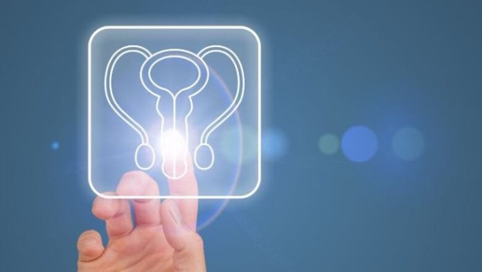 Τα ανδρογόνα παίζουν καθοριστικό ρόλο στην ανάπτυξη και επιβίωση των καρκινικών κυττάρων του προστάτη