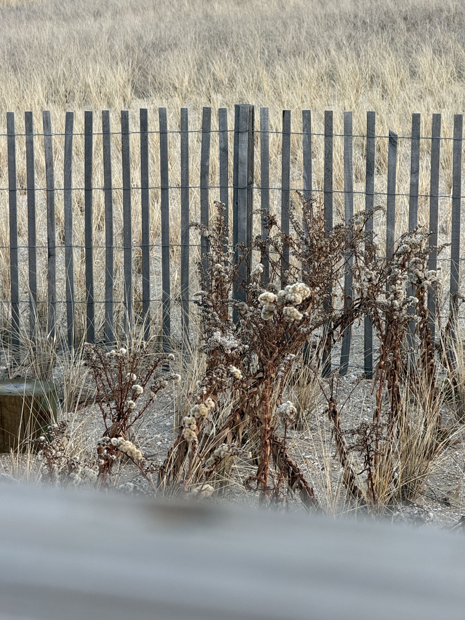 Συμβουλές και κόλπο για την κάμερα - Δείγμα εφέ ζουμ παράλλαξης.