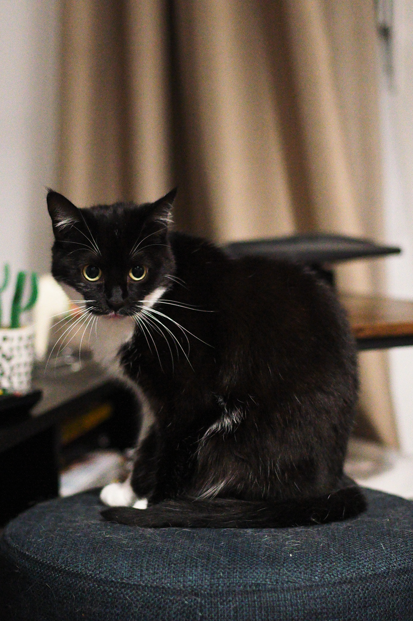 Μια φωτογραφία που τραβήχτηκε σε μια ψηφιακή φωτογραφική μηχανή σε στιλ αποστασιόμετρου Leica M EV1