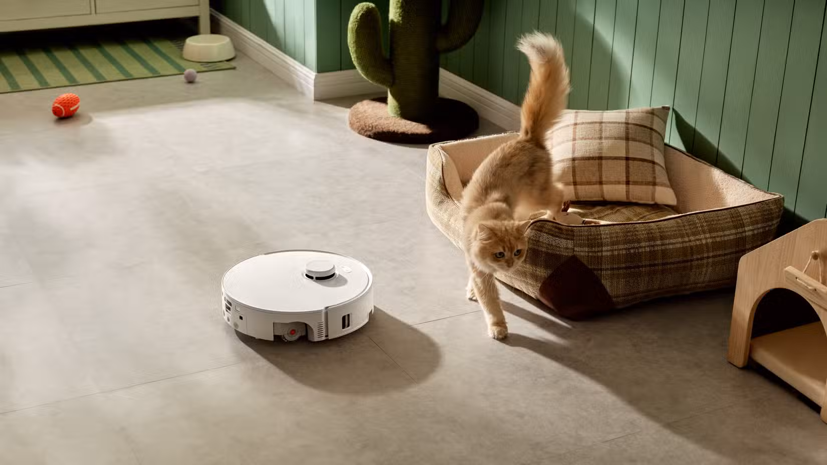 Καθαρισμός δαπέδου Roborock Qrevo Curv 2 δίπλα σε γάτα.