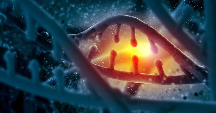 Πώς μια πρωτεΐνη ρίχνει φως σε θανάσιμες ασθένειες