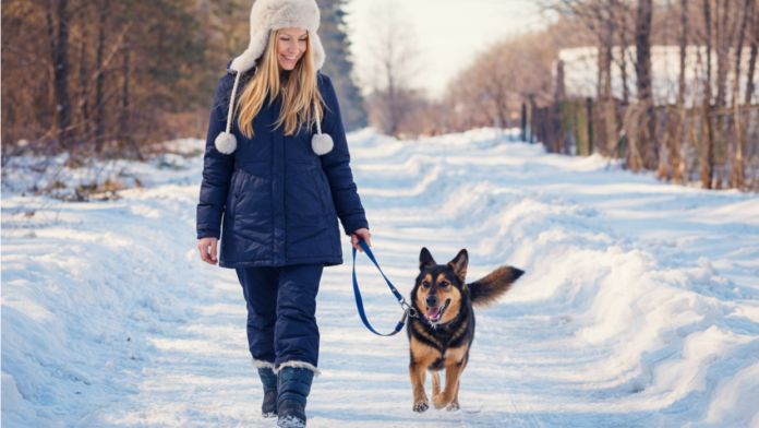 Δεν περίμενα η τεχνητή νοημοσύνη να βοηθήσει τα «χειμωνιάτικα μπλουζ» μου — αλλά αυτές οι 9 προτροπές βελτίωσαν τη διάθεσή μου