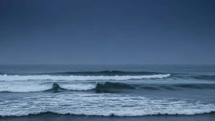 Τα υποβρύχια μπλακάουτ και οι επιπτώσεις τους στα οικοσυστήματα
