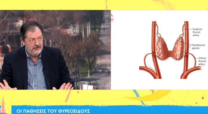 Οι παθήσεις του θυρεοειδούς - ertnews.gr