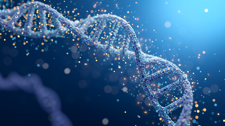 τρισδιάστατη απεικόνιση κλώνου DNA