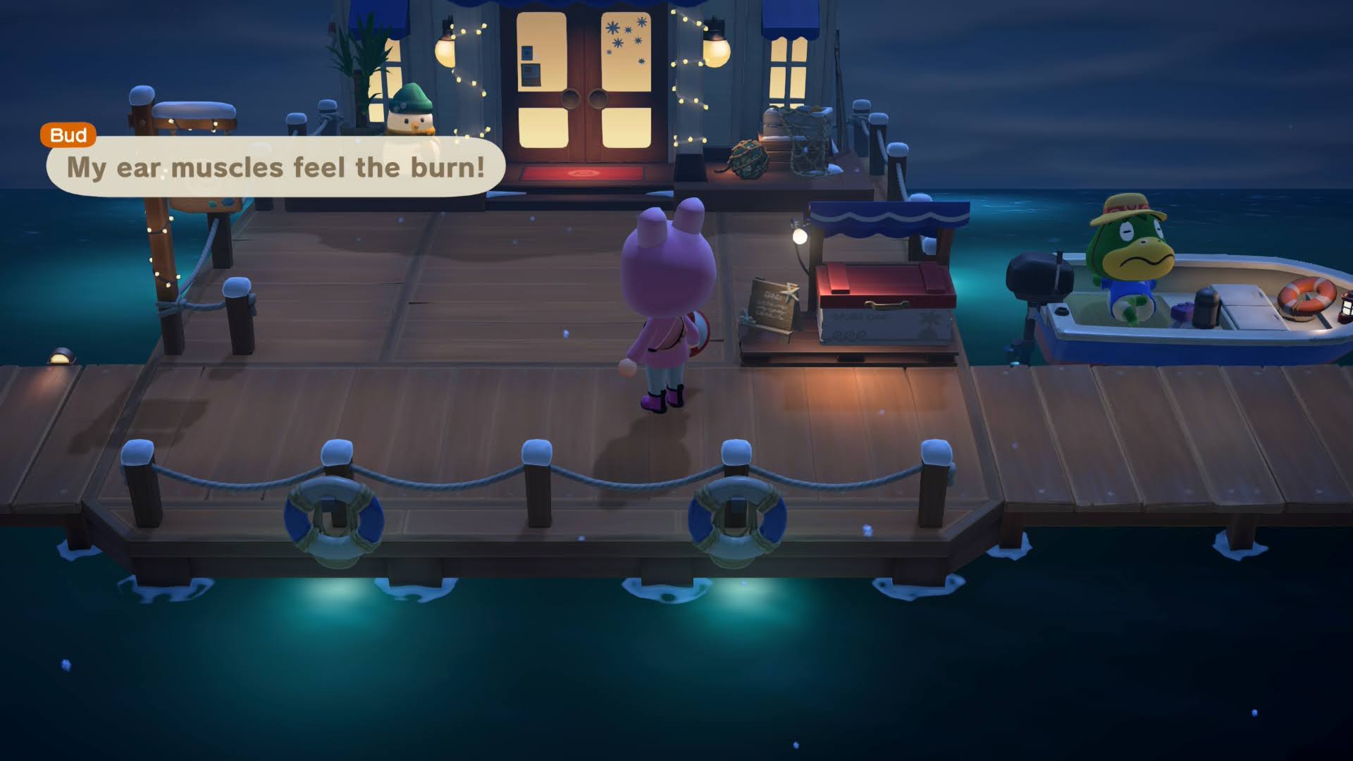 Στιγμιότυπο οθόνης Animal Crossing New Horizons: Nintendo Switch 2 Edition