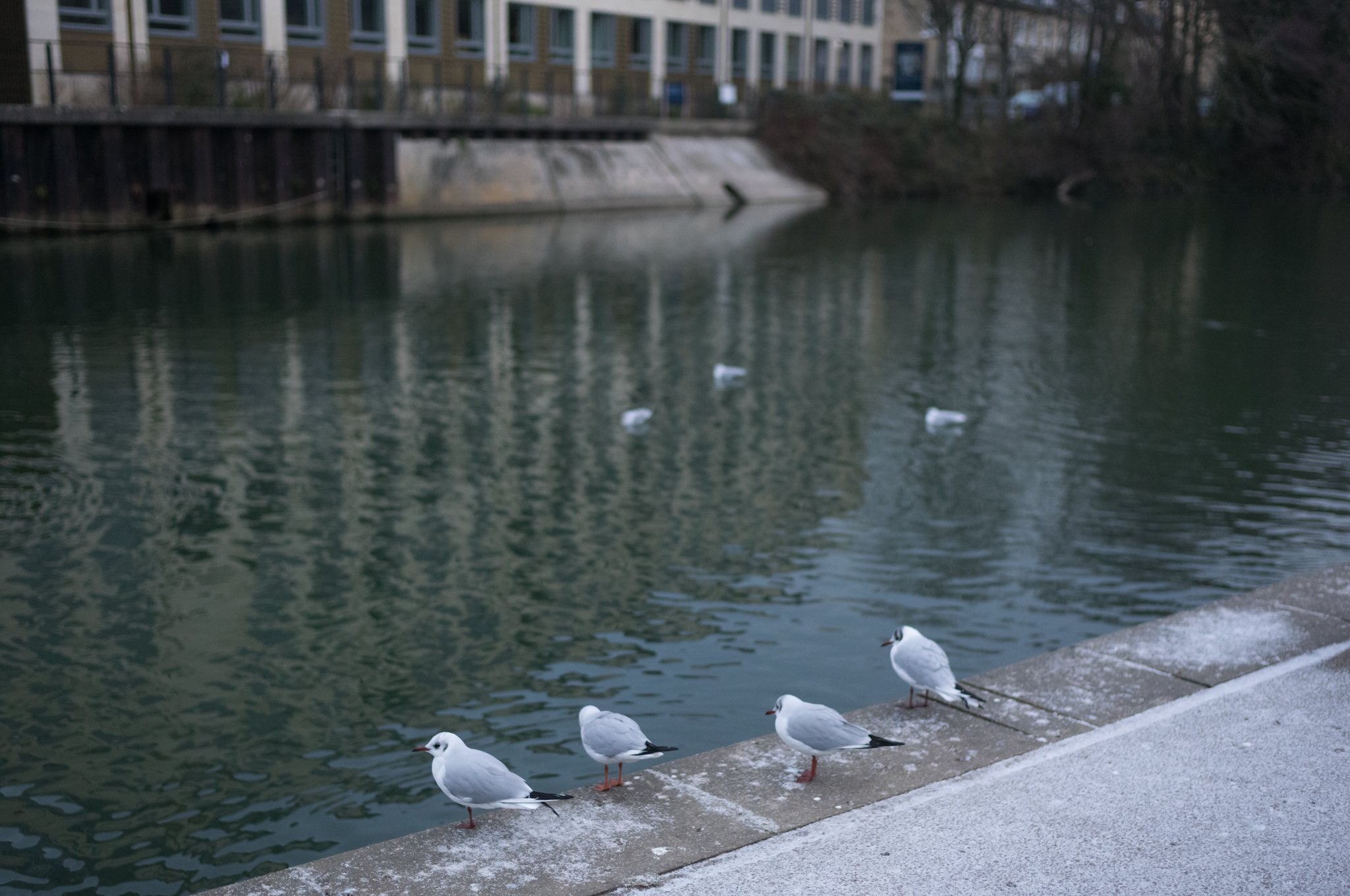 Leica M EV1: Η Απόλυτη M-Series Κάμερα που Θα σας Κάνει να Θέλετε να Ξεκινήσετε Φωτογραφία Άμεσα! A photo taken on a Leica M EV1 rangefinder-style camera