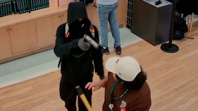 Υπό την απειλή όπλων κλέφτες φεύγουν με εμπορεύματα των Pokémon αξίας $100.000