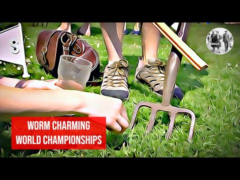 Μικρογραφία Worm Charming World Championships