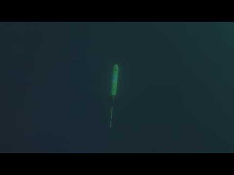 Ανεμόπτερο που κατεβαίνει στον ωκεανό