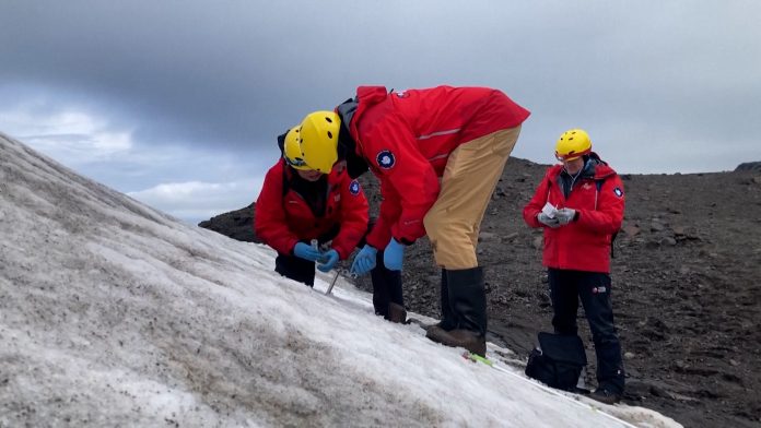 Από τους πάγους της Ανταρκτικής στο Διάστημα: Μικροοργανισμοί που ίσως αντέξουν εκεί όπου δεν αντέχει ο άνθρωπος