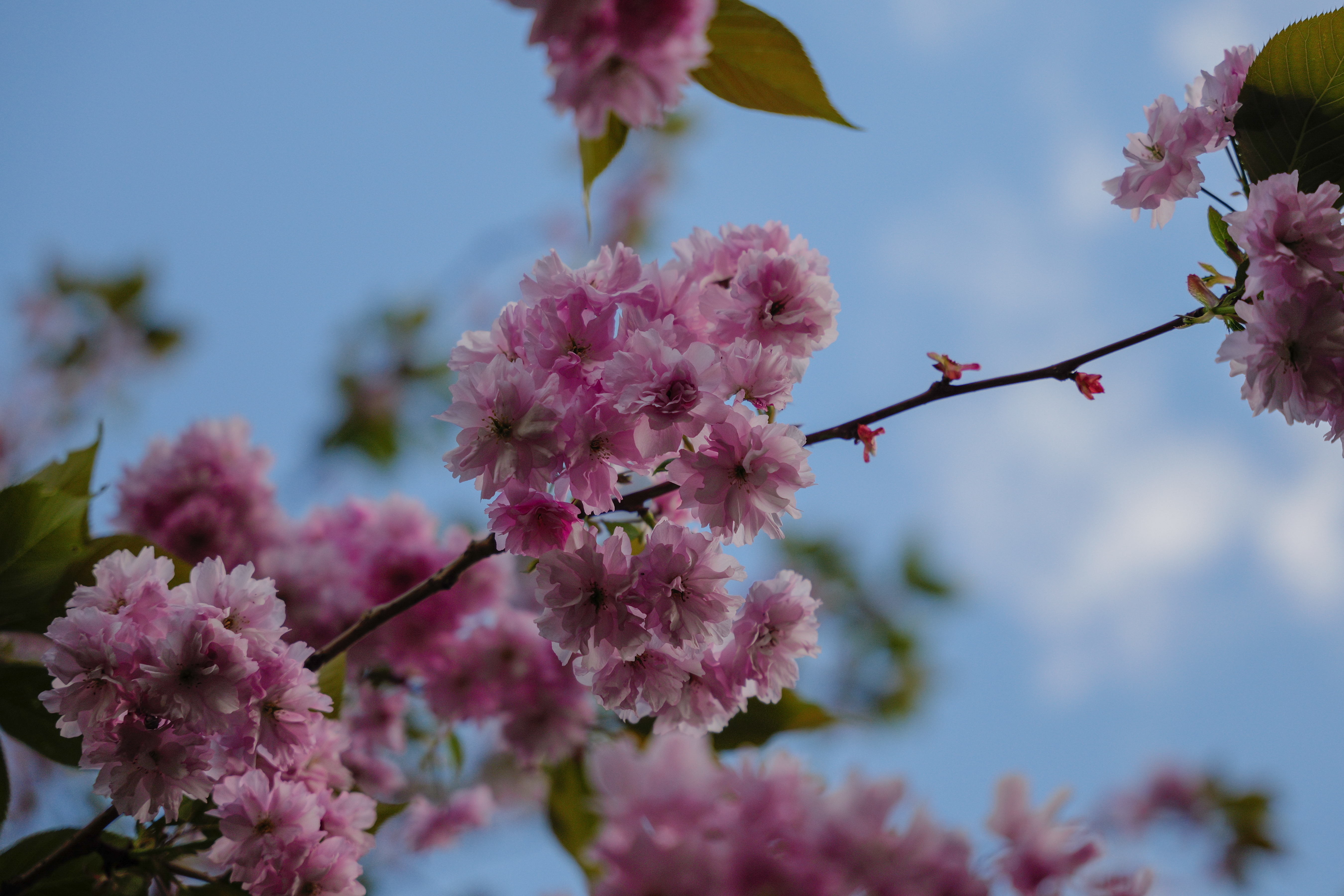 Μια φωτογραφία που τραβήχτηκε σε μια Leica SL3-S mirrorless κάμερα