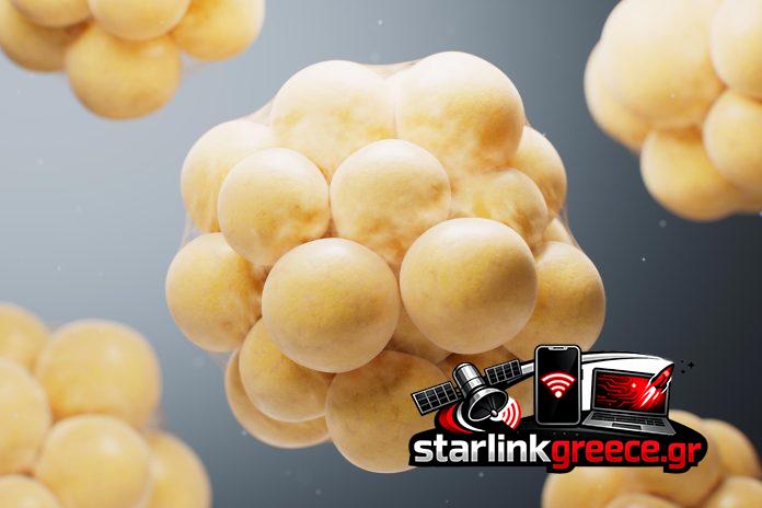 Ανατροπή: Πώς η δίαιτα μπορεί να μεταμορφώσει το λίπος σε καυστήρα θερμίδων!