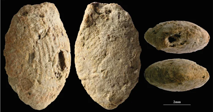 15.000 Χρόνια Ιστορίας: Ανακάλυψη που Αλλάζει την Ανθρώπινη Δημιουργικότητα!