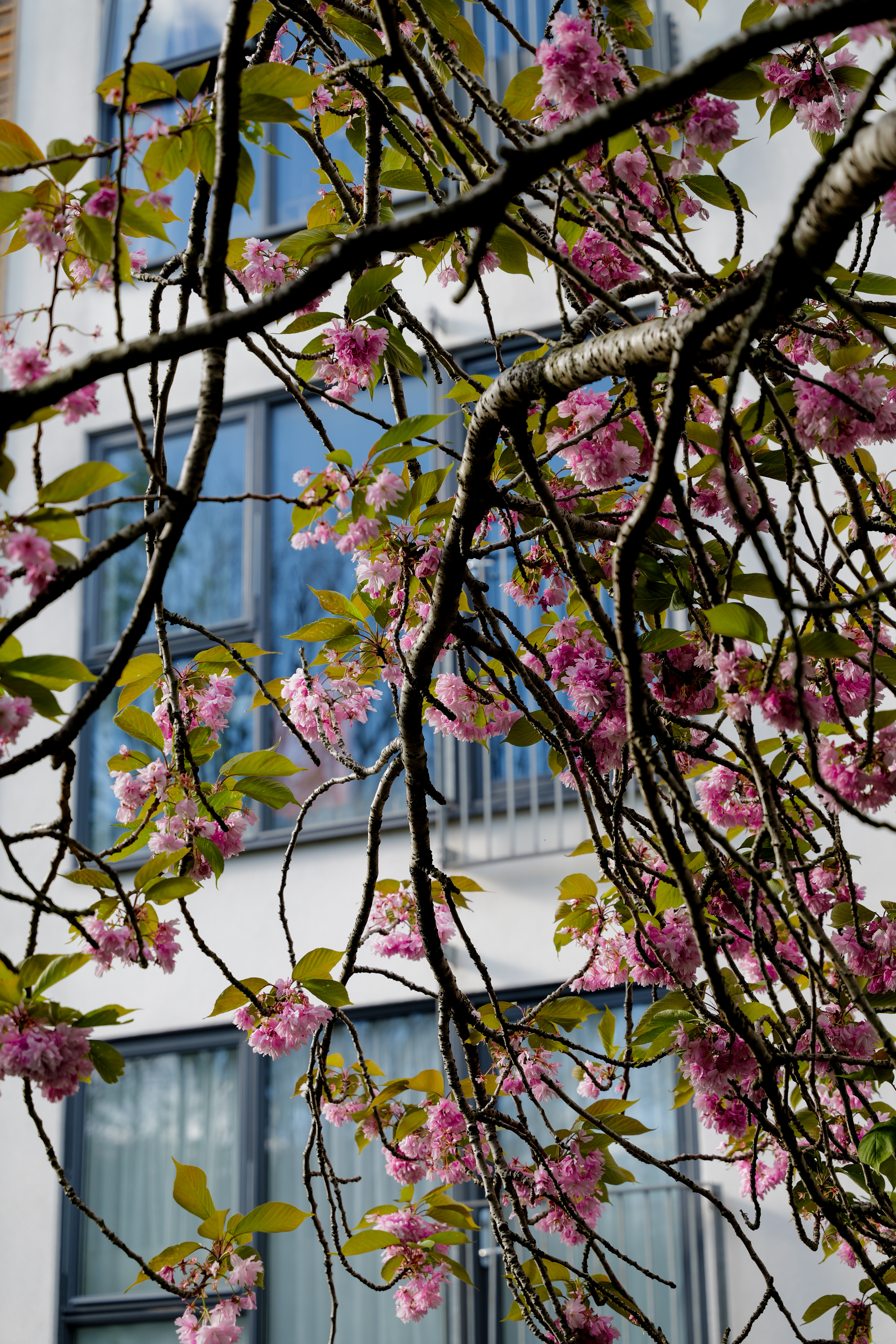 Μια φωτογραφία που τραβήχτηκε σε μια Leica SL3-S mirrorless κάμερα