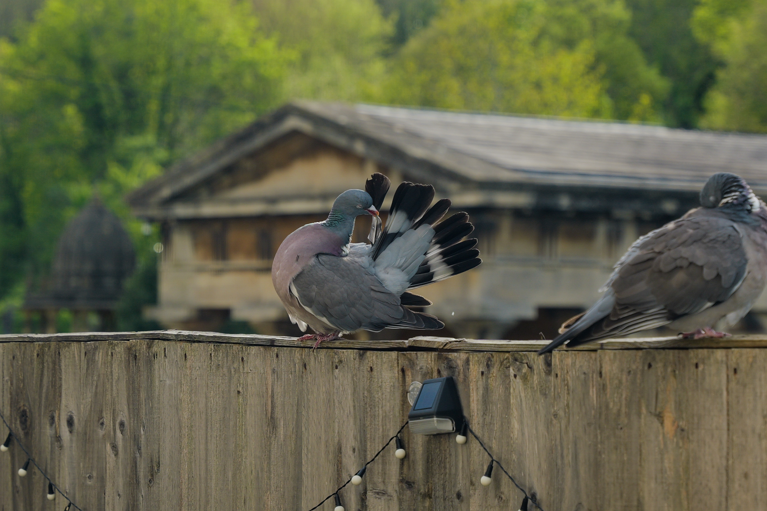 Μια φωτογραφία που τραβήχτηκε σε μια Leica SL3-S mirrorless κάμερα