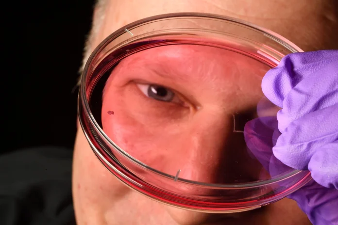 «Επανάσταση στην Οφθαλμολογία: Νέες Προκλήσεις για τη Θεωρία 30 ετών»