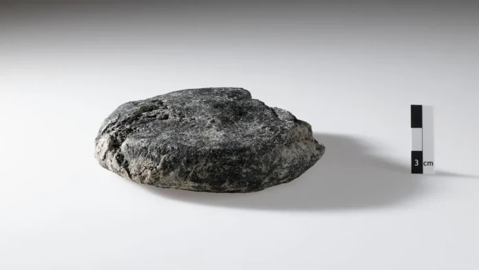 Ανακαλύφθηκε ρωμαϊκό ψωμί 2.000 ετών σε εργοτάξιο