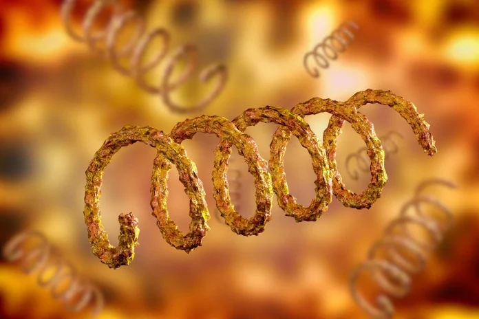 Η αρχαία ασθένεια «όπως η σύφιλη» στο Βιετνάμ προκαλεί βασικές επιστημονικές υποθέσεις