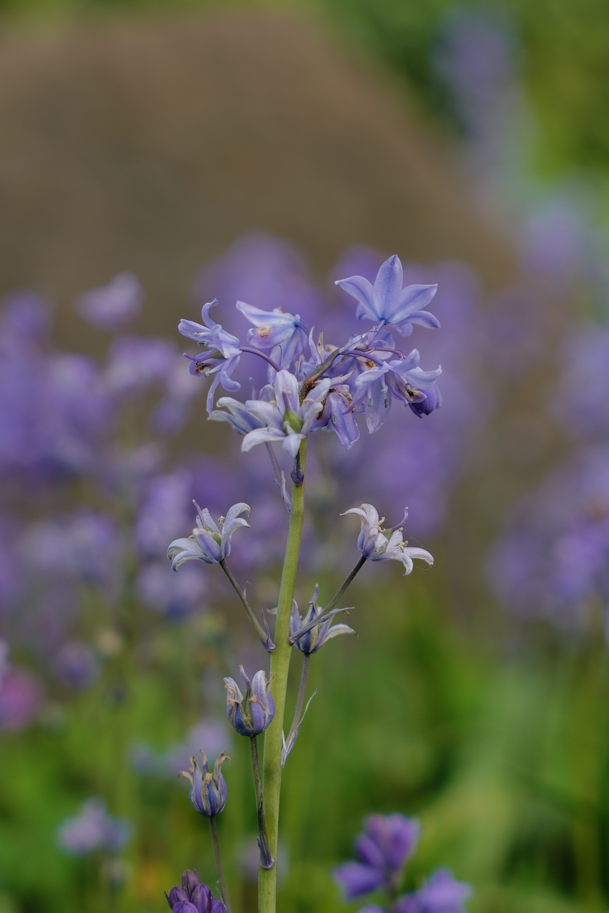 Μια φωτογραφία που τραβήχτηκε σε μια Leica SL3-S mirrorless κάμερα