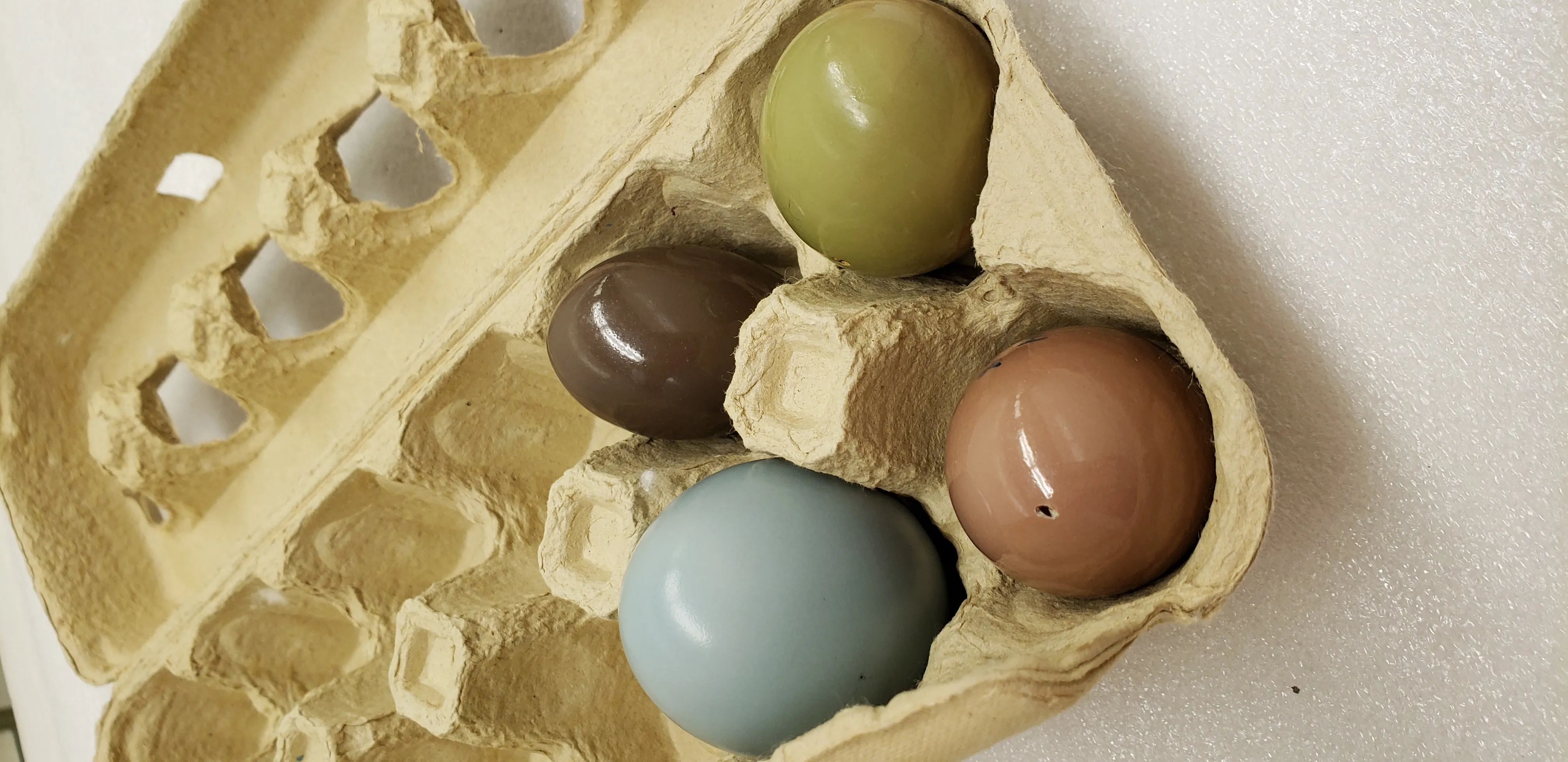 Αυγά από τέσσερα διαφορετικά είδη τινάμου.