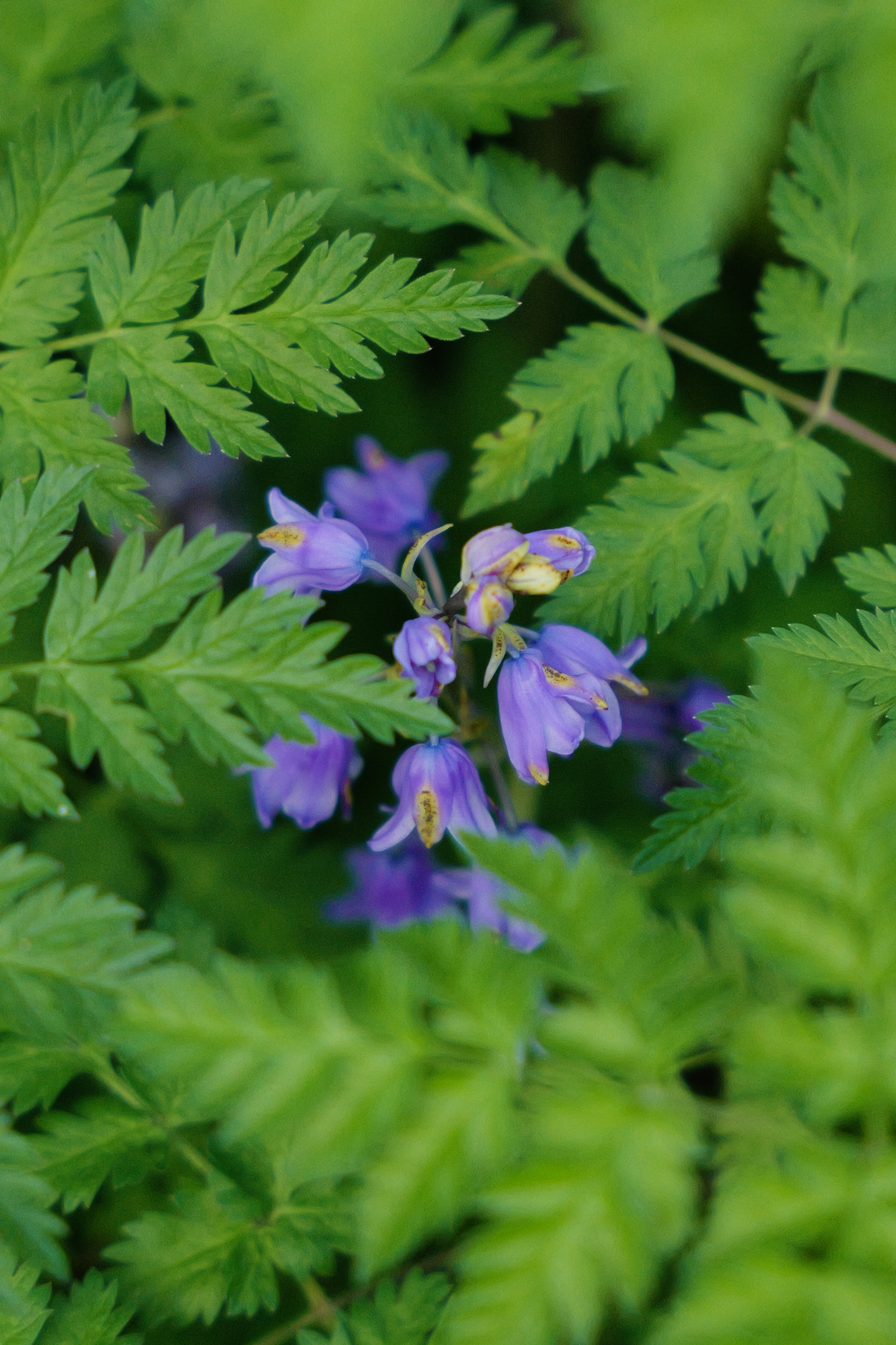 Μια φωτογραφία που τραβήχτηκε σε μια Leica SL3-S mirrorless κάμερα