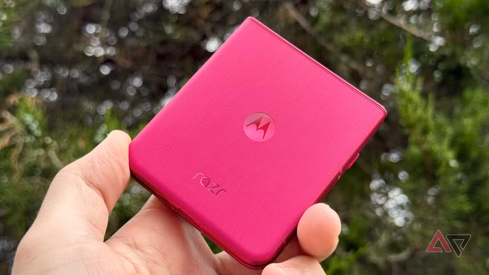 Το Motorola Razr Ultra άντεξε απέναντι σε ένα αειθαλές δέντρο