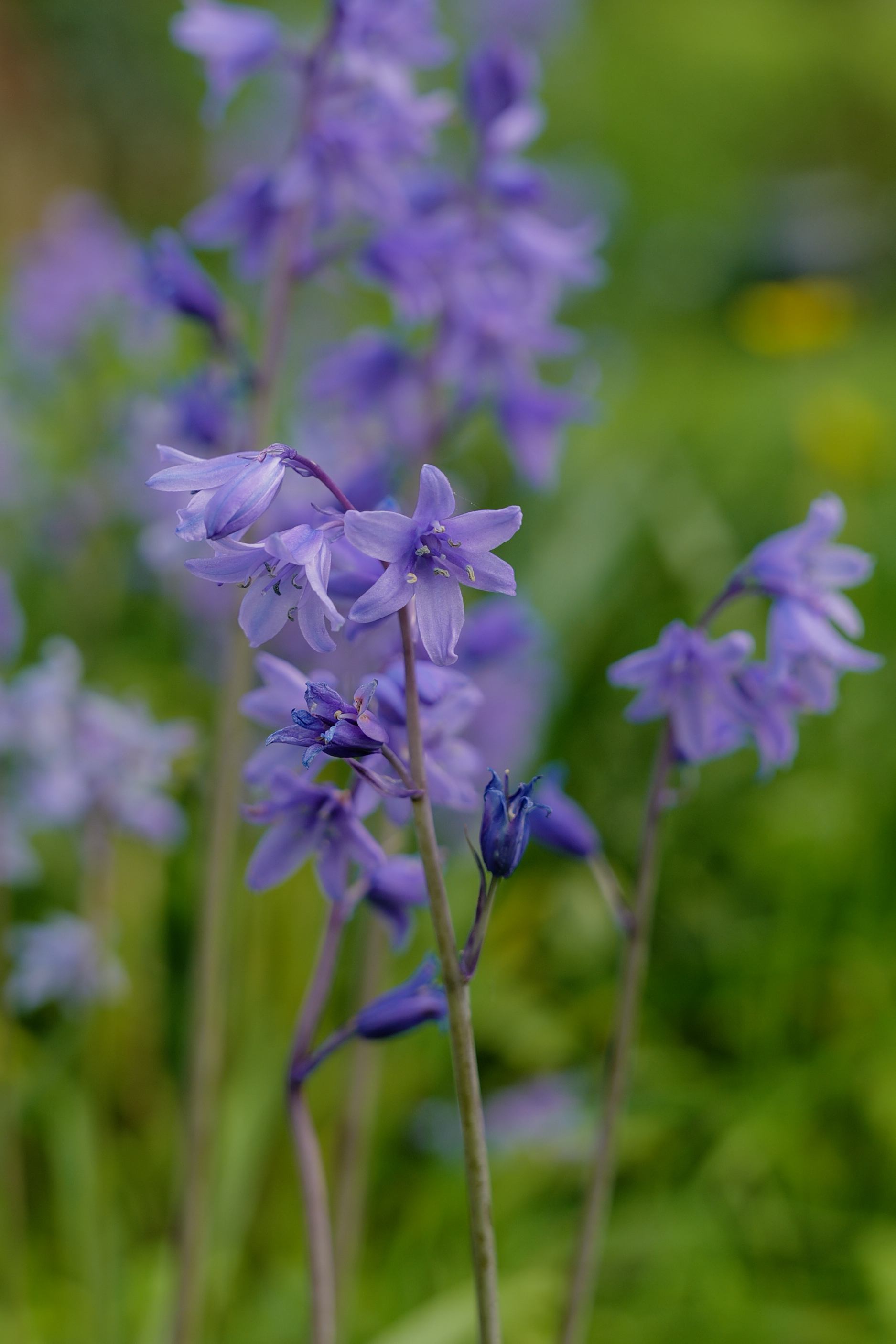 Μια φωτογραφία που τραβήχτηκε σε μια Leica SL3-S mirrorless κάμερα