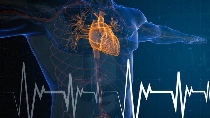 Ο ρόλος της Πυρηνικής Ιατρικής στη διάγνωση καρδιαγγειακών παθήσεων