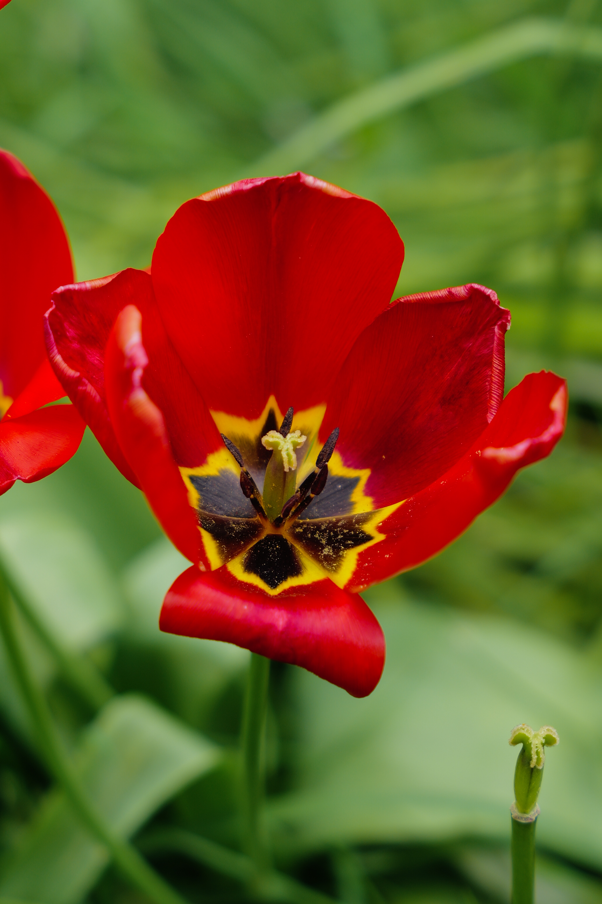 Μια φωτογραφία που τραβήχτηκε σε μια Leica SL3-S mirrorless κάμερα