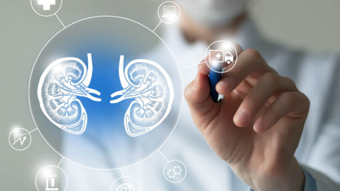 Ανακαλύψτε την Χρόνια Νεφρική Νόσο: Αιτίες & Συνέπειες!