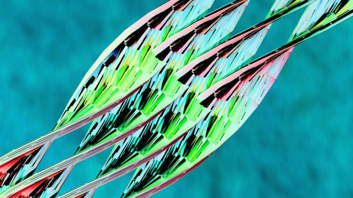 Το Princeton κατασκευάζει βιο-υβριδικό υπολογιστή χρησιμοποιώντας ζωντανούς νευρώνες