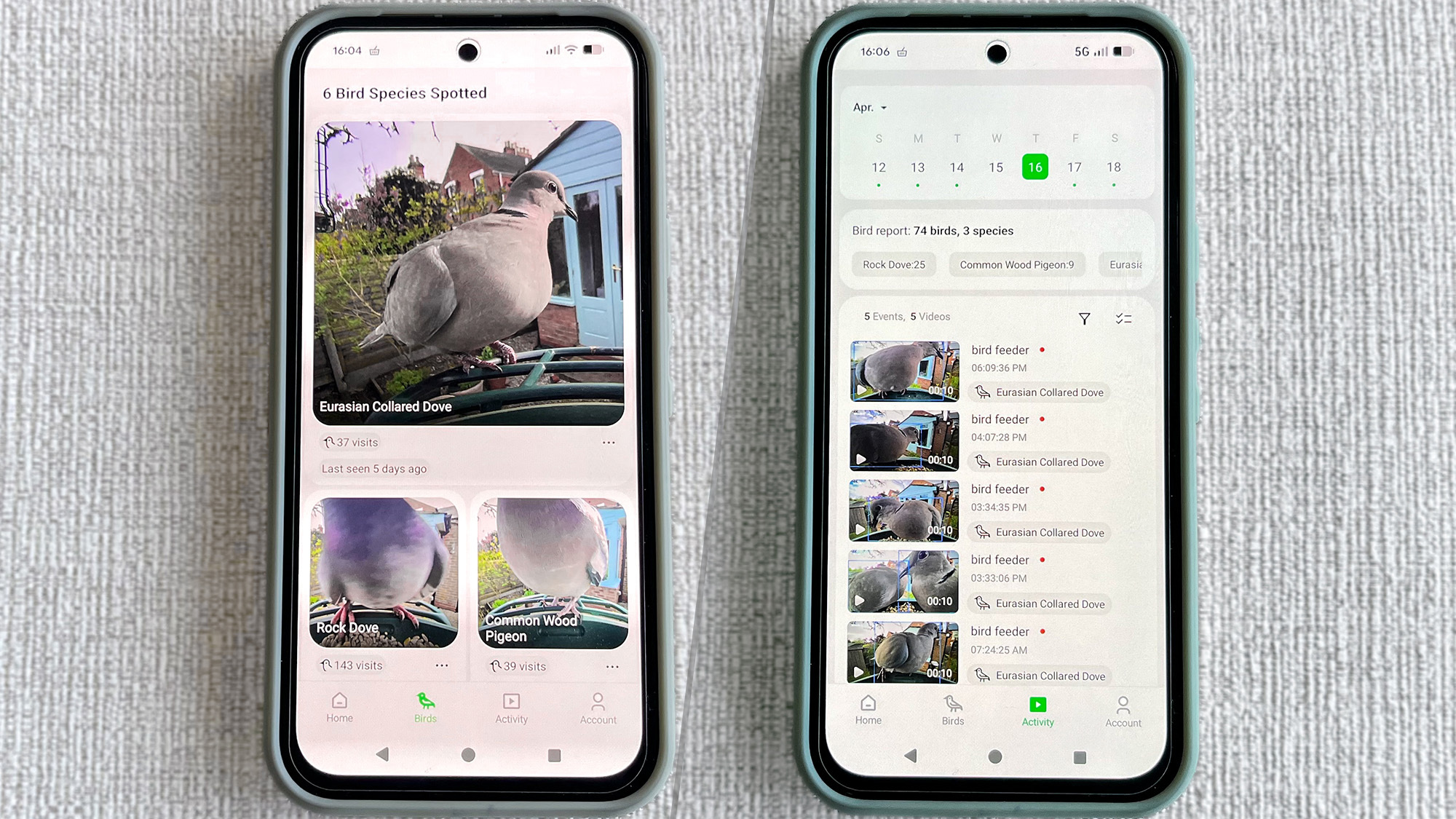 Εφαρμογή τροφοδοσίας πουλιών Kiwibit