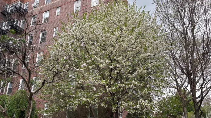 Γιατί η άνοιξη μυρίζει σπέρμα και σάπιο ψάρι