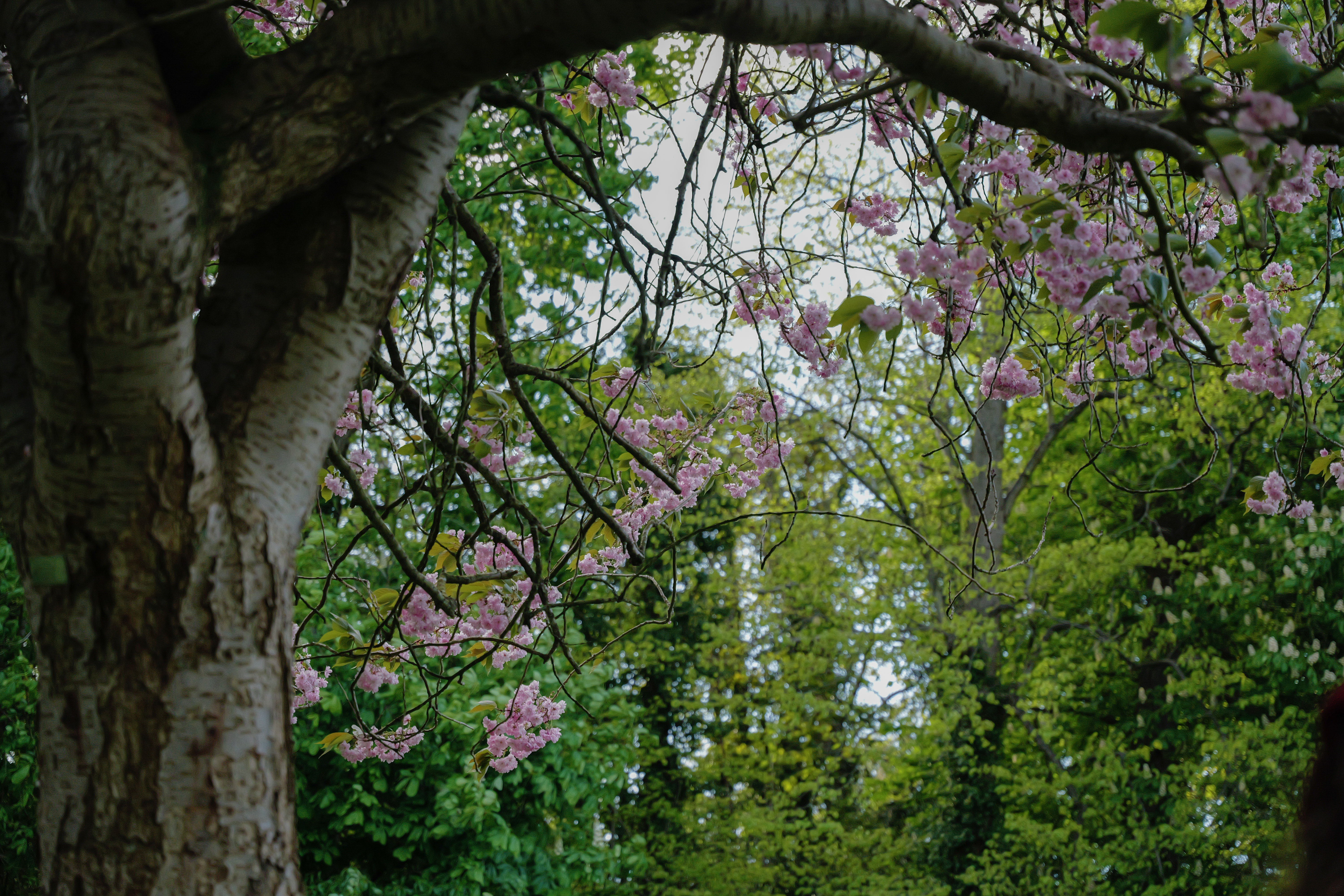 Μια φωτογραφία που τραβήχτηκε σε μια Leica SL3-S mirrorless κάμερα