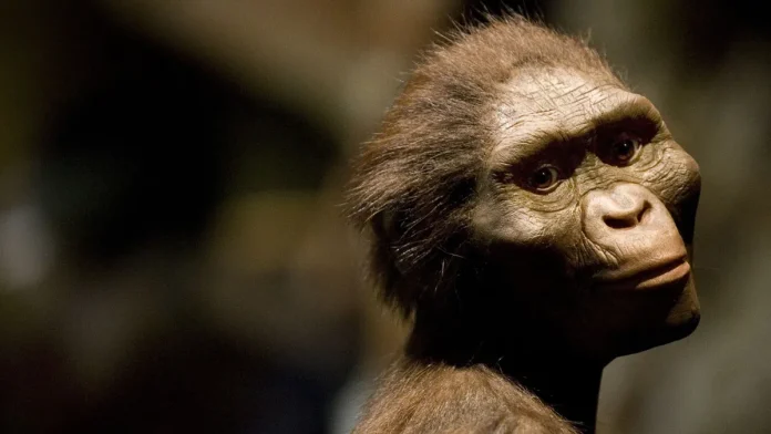 «Ανακαλύψτε γιατί οι ουρές δεν είναι για τους ανθρώπους!»