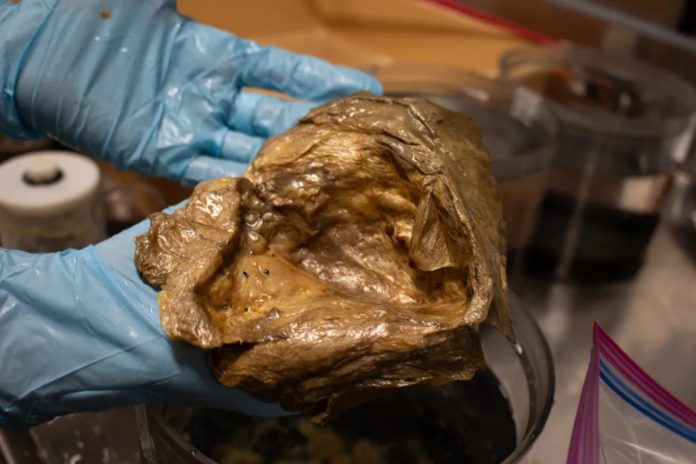 Λύθηκε το μυστήριο με τη χρυσή σφαίρα που βρέθηκε στα βάθη του ωκεανού