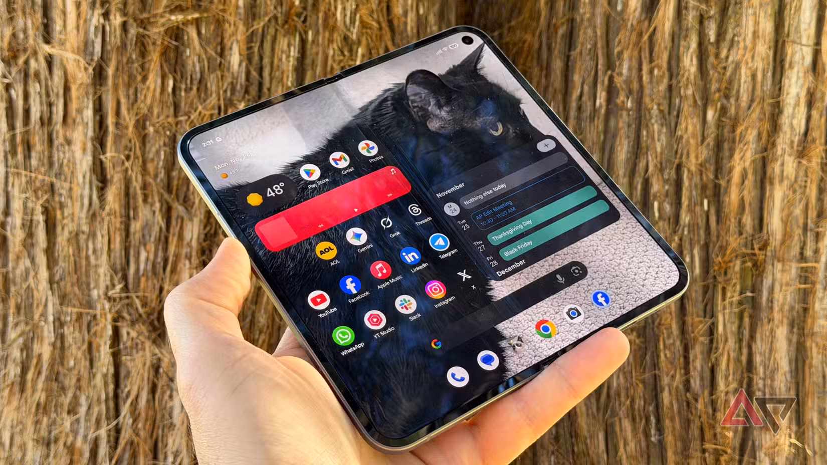 Google Pixel 10 Pro Fold displaying a black cat up against a brown tree