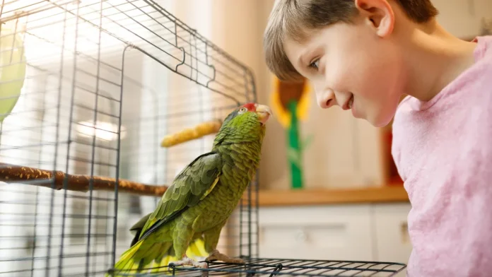 Why parrots talk like humans